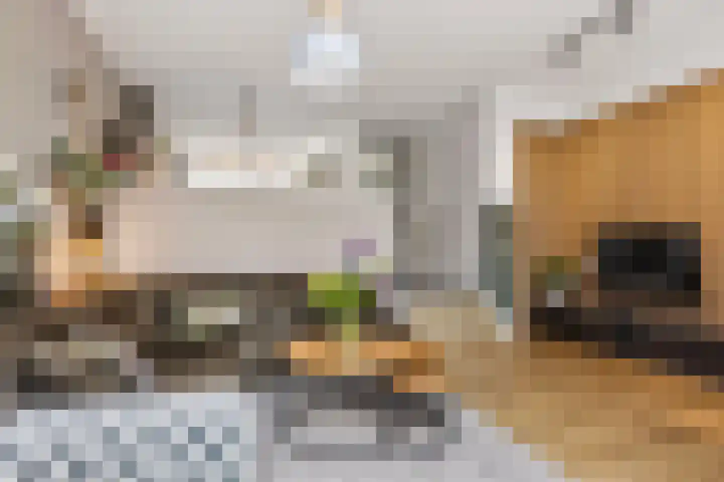 Oeverlaan 49 Borne thumbnail 14