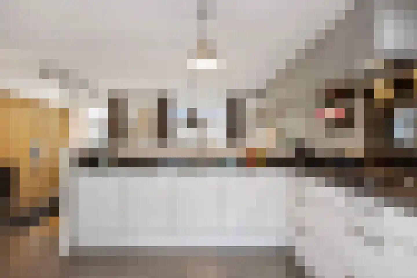 Oeverlaan 49 Borne thumbnail 15
