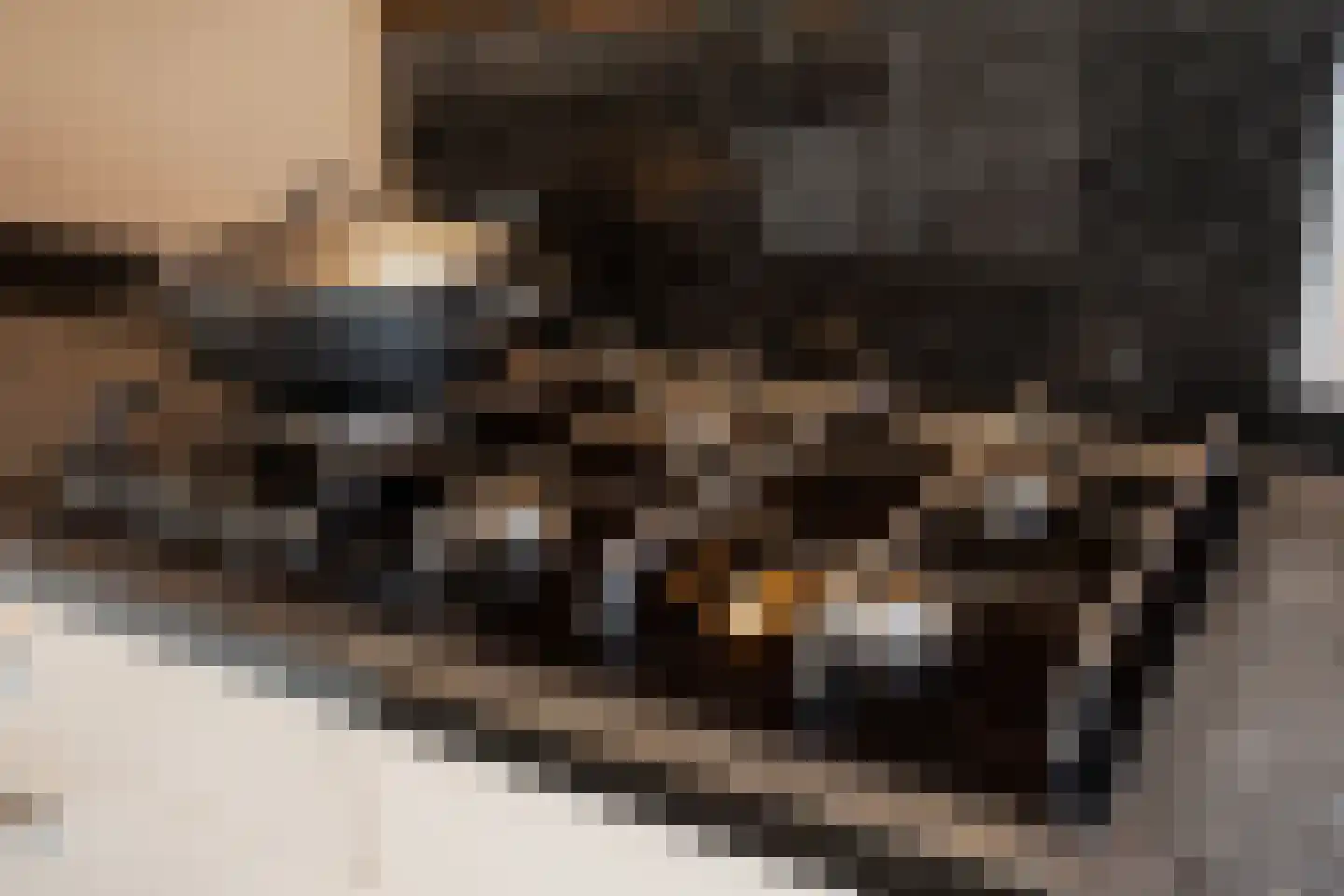 Oeverlaan 49 Borne thumbnail 16
