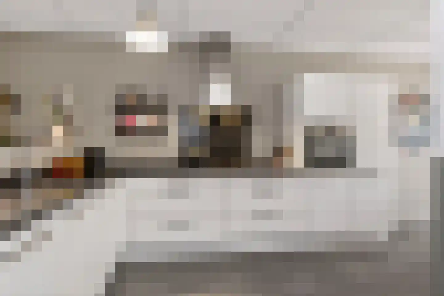 Oeverlaan 49 Borne thumbnail 17