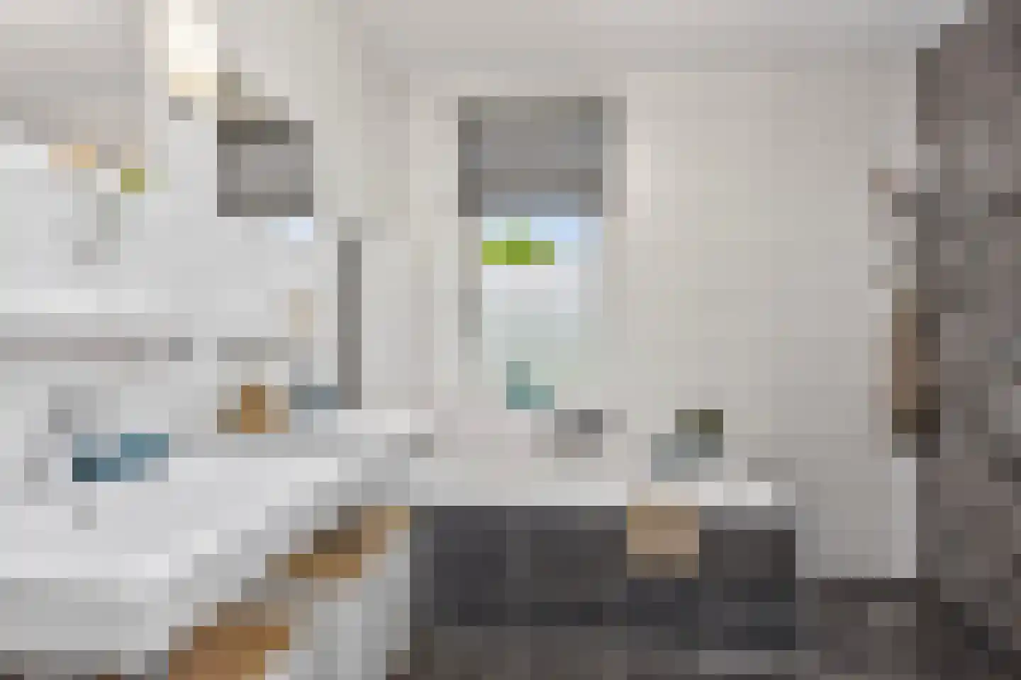 Oeverlaan 49 Borne thumbnail 26