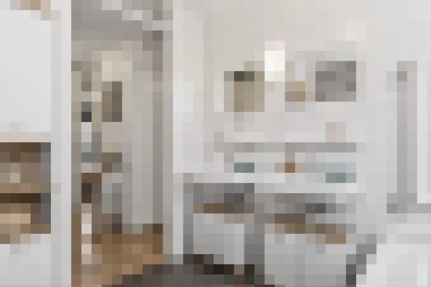 Oeverlaan 49 Borne thumbnail 27