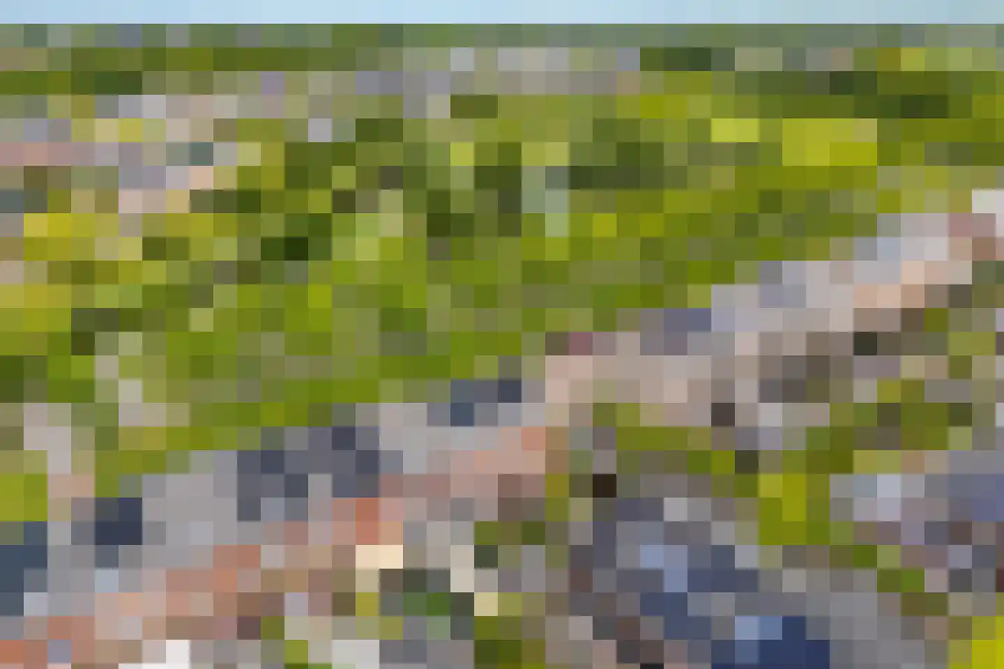 Oeverlaan 49 Borne thumbnail 43