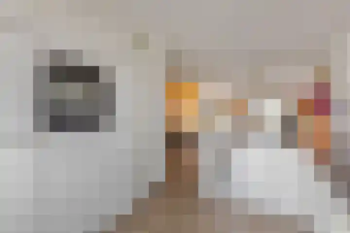 Oeverlaan 55 Borne thumbnail 10