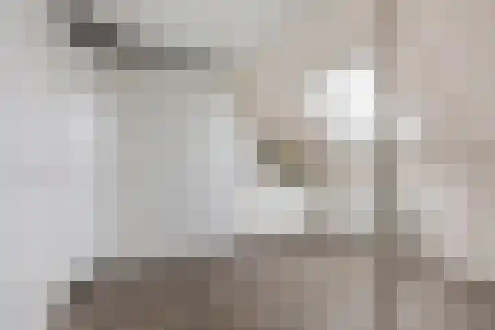 Oeverlaan 55 Borne thumbnail 16