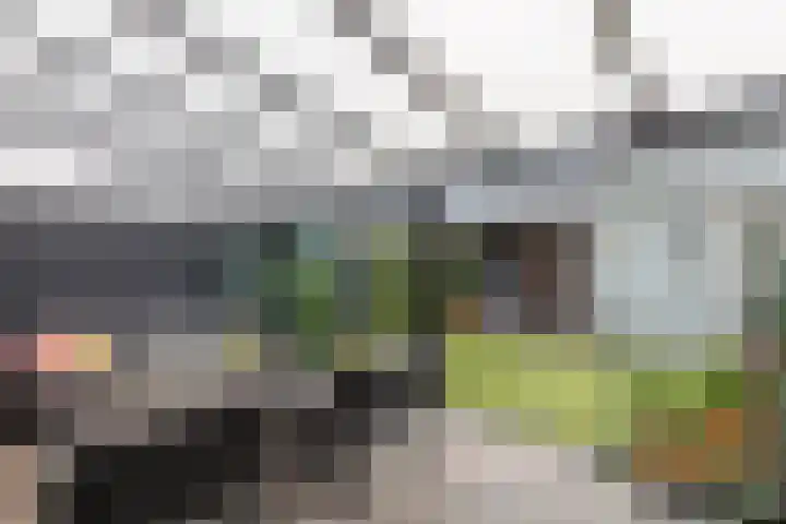Oeverlaan 55 Borne thumbnail 19
