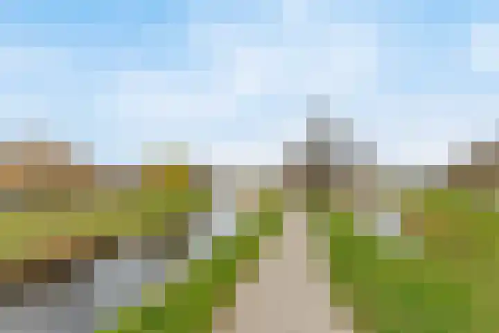 Oeverlaan 55 Borne thumbnail 20