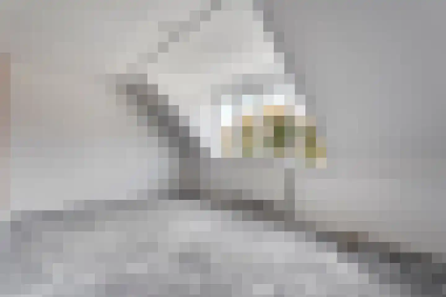 Oeverlanden 1 Steenwijk thumbnail 21