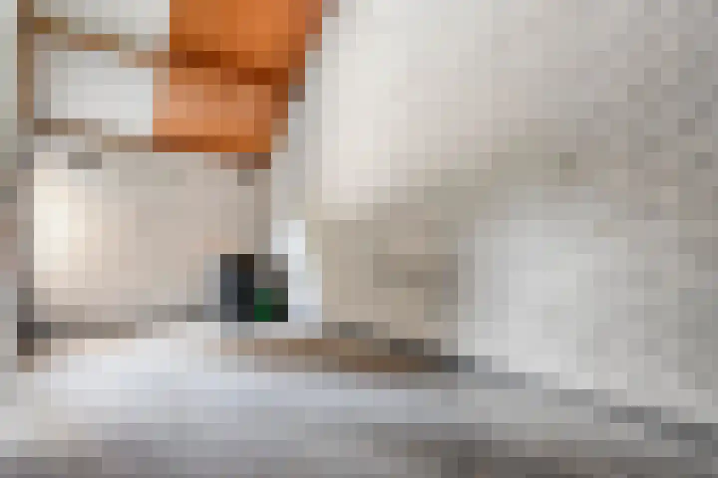 Oeverlanden 1 Steenwijk thumbnail 36