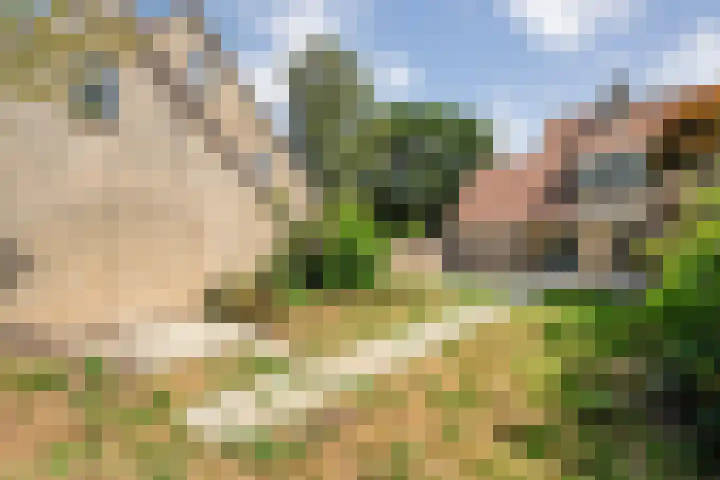 Oeverlanden 1 Steenwijk thumbnail 43