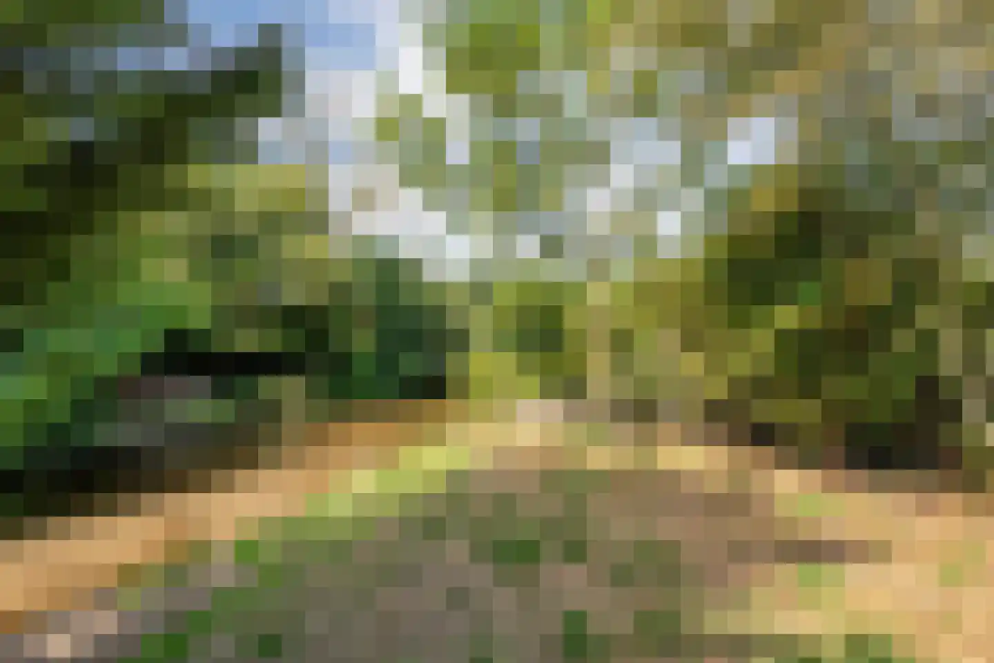 Oeverlanden 1 Steenwijk thumbnail 45