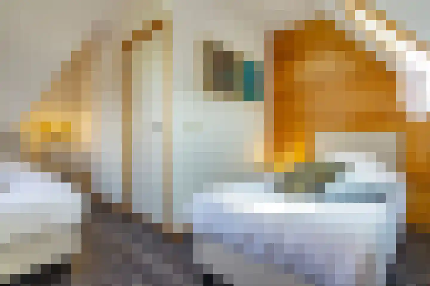 Oeverlanden 34 Kropswolde thumbnail 14