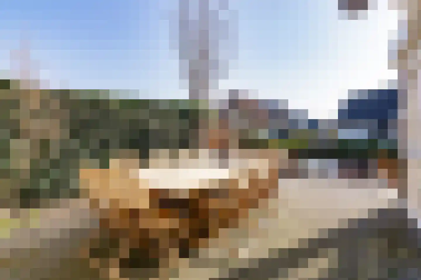 Oeverlanden 34 Kropswolde thumbnail 29