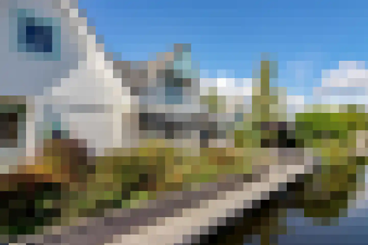 Oeverlanden 34 Kropswolde thumbnail 80
