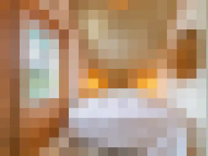Oeverlanden 37 Kropswolde thumbnail 22