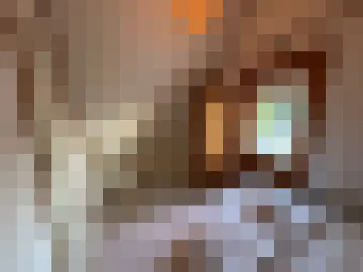 Oeverlanden 37 Kropswolde thumbnail 23