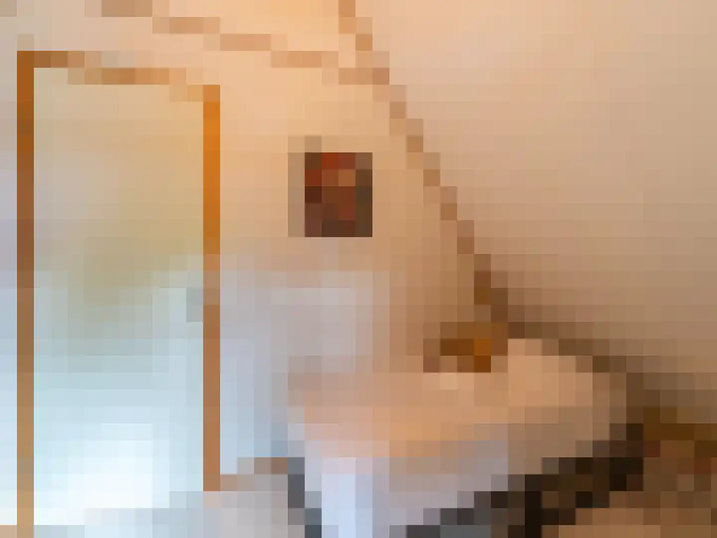 Oeverlanden 37 Kropswolde thumbnail 24