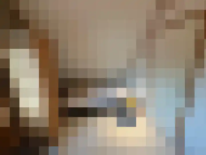 Oeverlanden 37 Kropswolde thumbnail 26