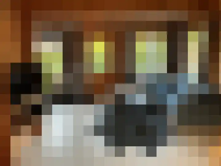Oeverlanden 37 Kropswolde foto 3