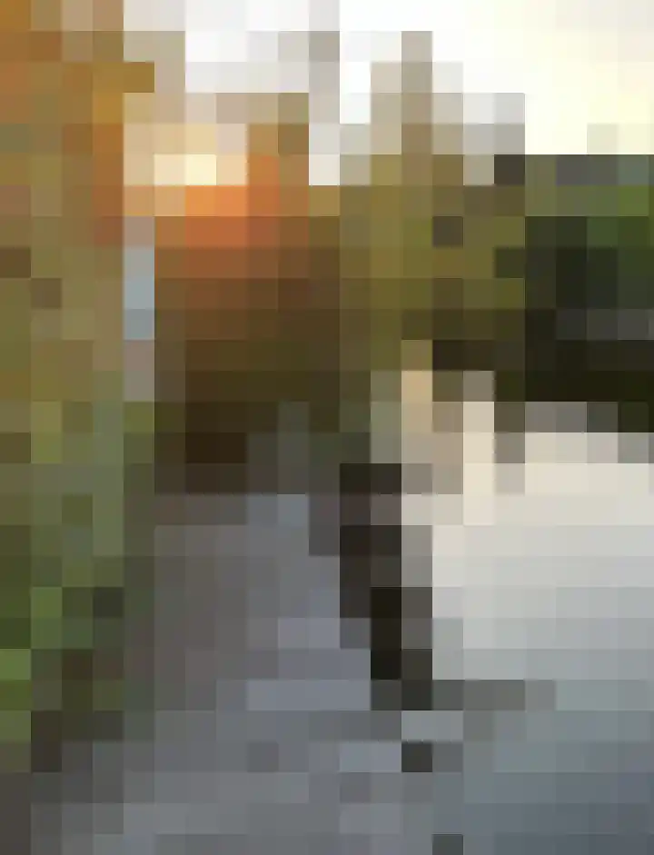 Oeverlanden 37 Kropswolde thumbnail 38
