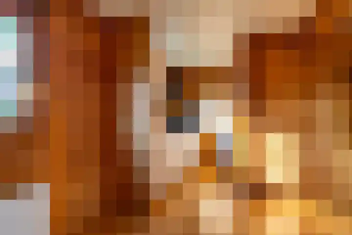 Oeverlanden 7 Kropswolde thumbnail 13