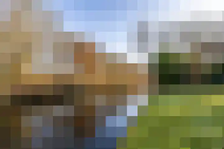 Oeverlanden 7 Kropswolde foto 3