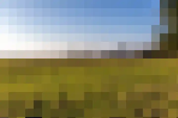 Oeverlanden 7 Kropswolde thumbnail 51