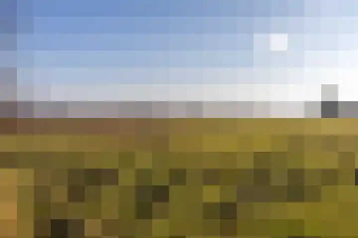Oeverlanden 7 Kropswolde thumbnail 52