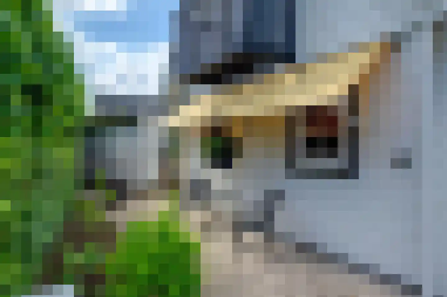 Oeverlanden 75 Kropswolde thumbnail 10