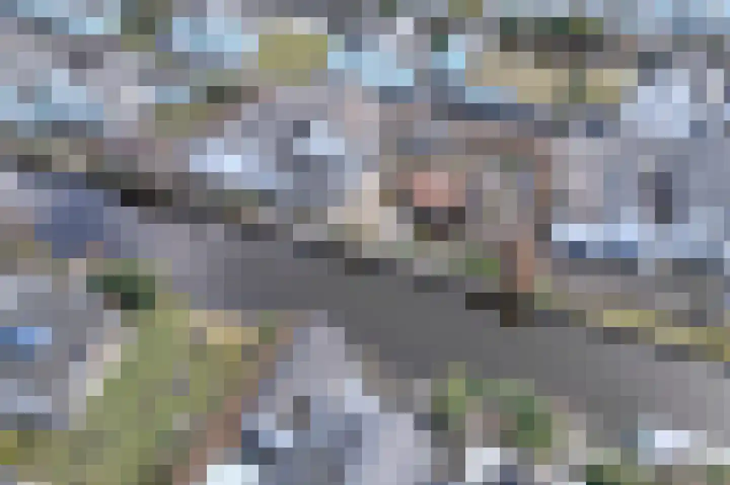 Oeverlanden 75 Kropswolde thumbnail 10