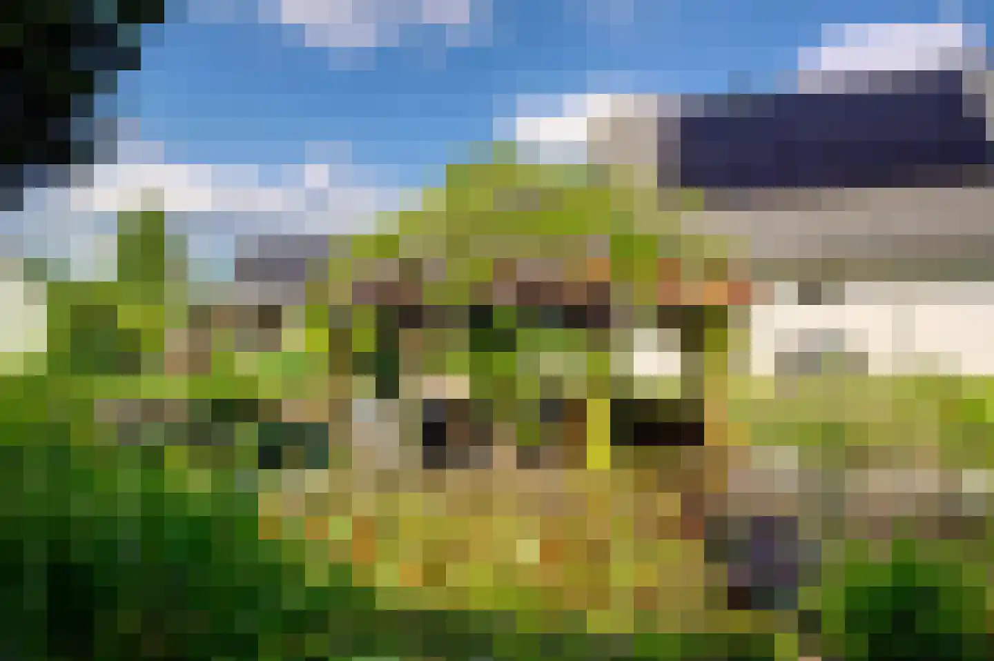 Oeverlanden 75 Kropswolde thumbnail 16
