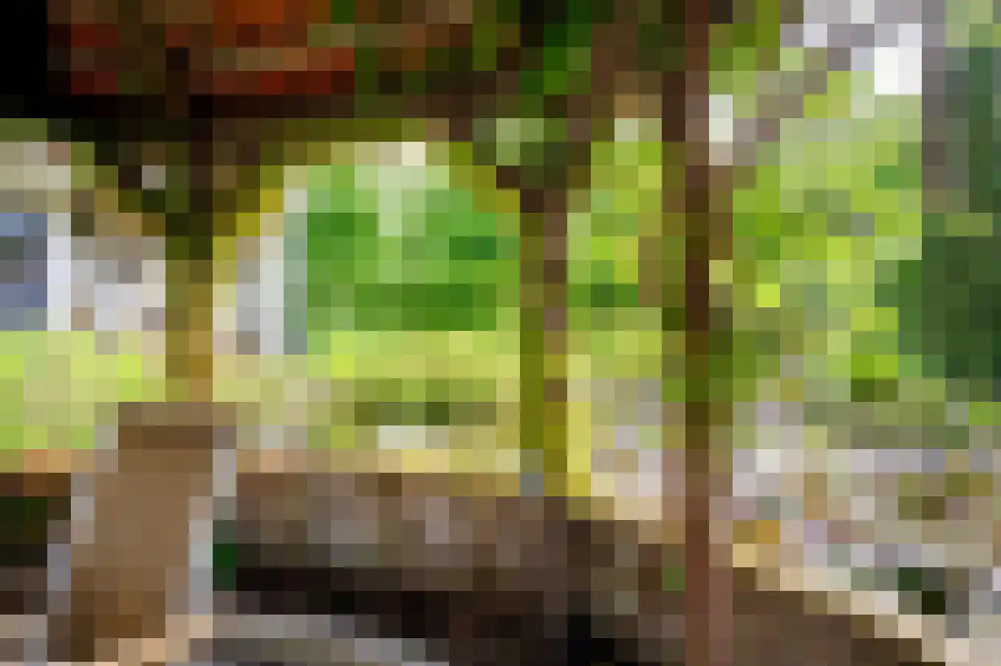 Oeverlanden 75 Kropswolde thumbnail 18