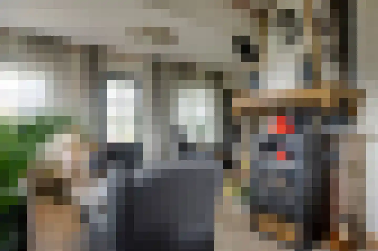 Oeverlanden 75 Kropswolde thumbnail 30