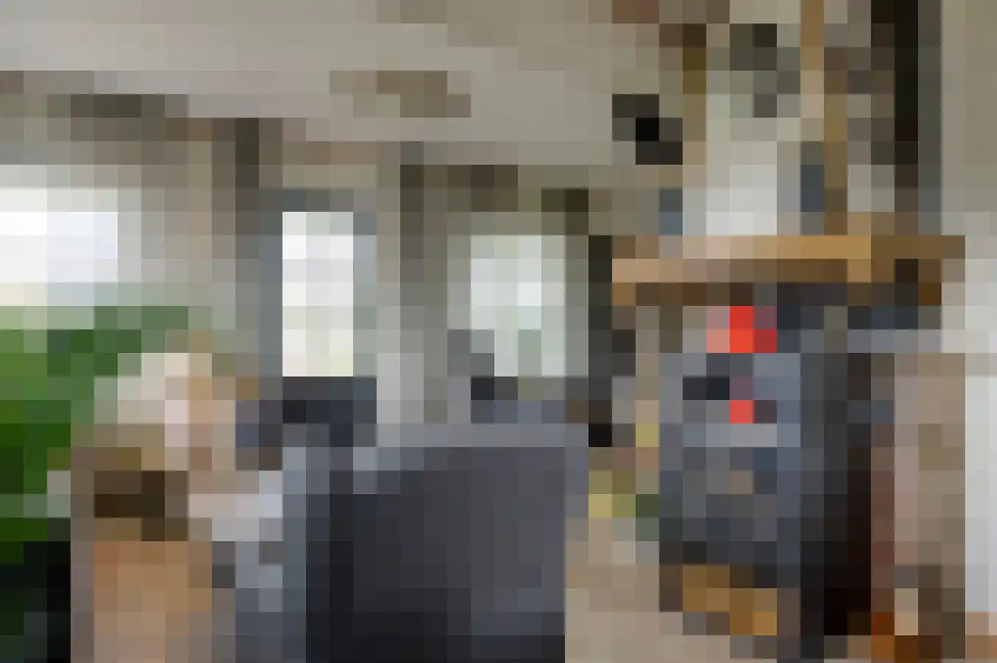 Oeverlanden 75 Kropswolde thumbnail 34