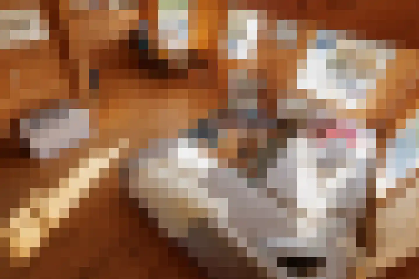 Oeverlanden 80 Kropswolde thumbnail 24