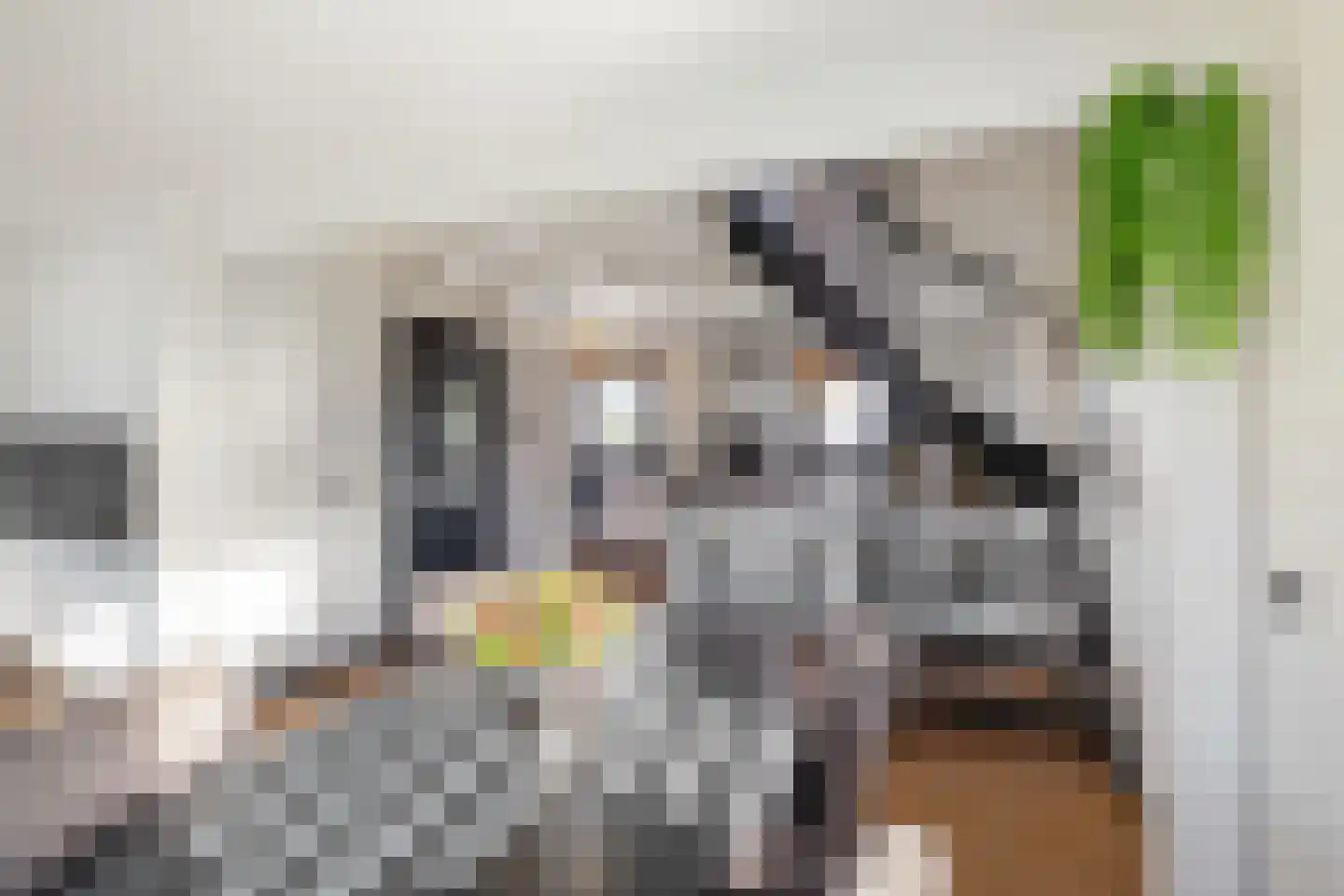 Oeverlanden 81 Kropswolde thumbnail 17