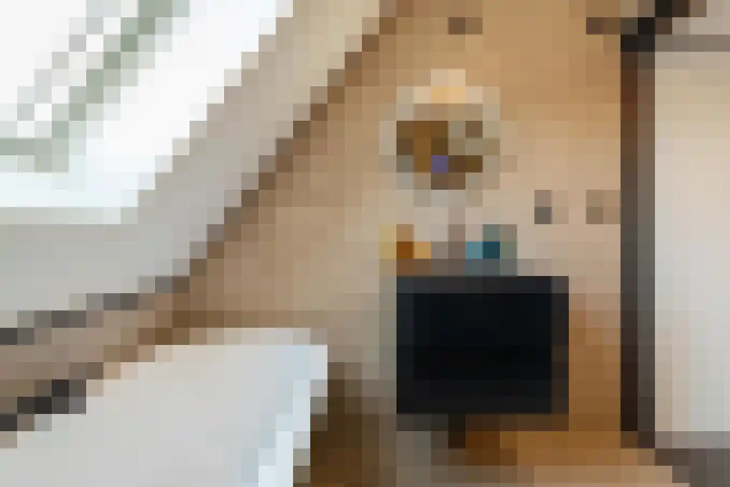 Oeverlanden 81 Kropswolde thumbnail 27