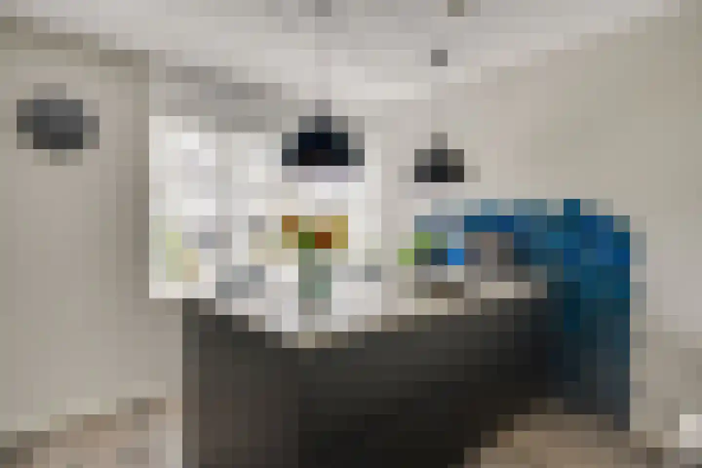 Oeverlibel 4 Son en Breugel thumbnail 10