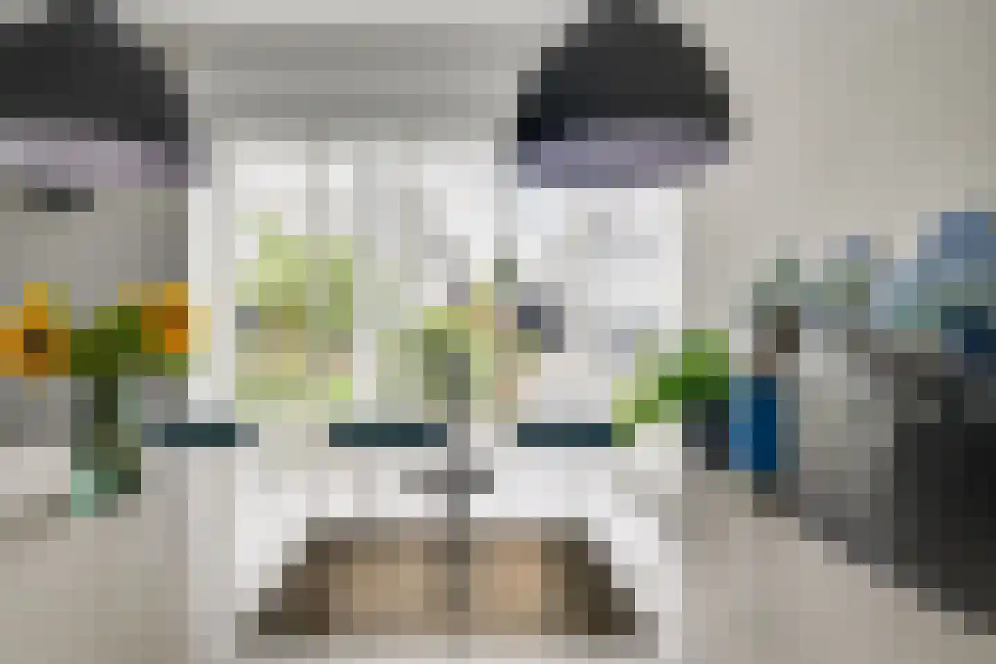 Oeverlibel 4 Son en Breugel thumbnail 12