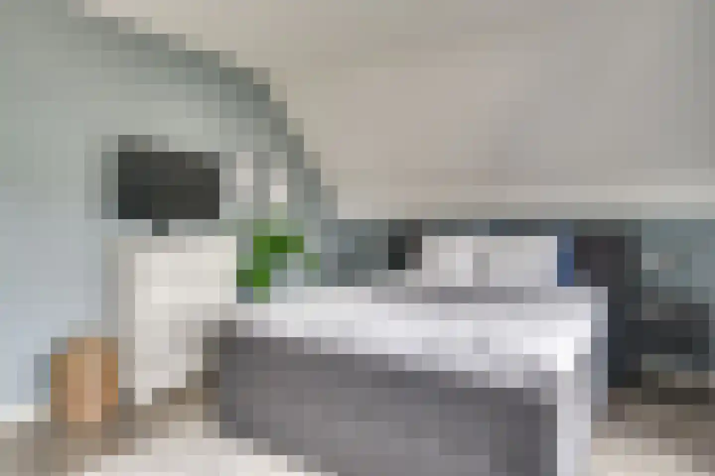 Oeverlibel 4 Son en Breugel thumbnail 17