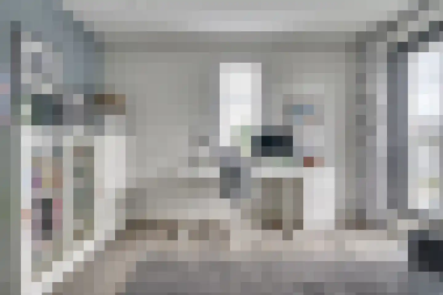 Oeverlibel 4 Son en Breugel thumbnail 20