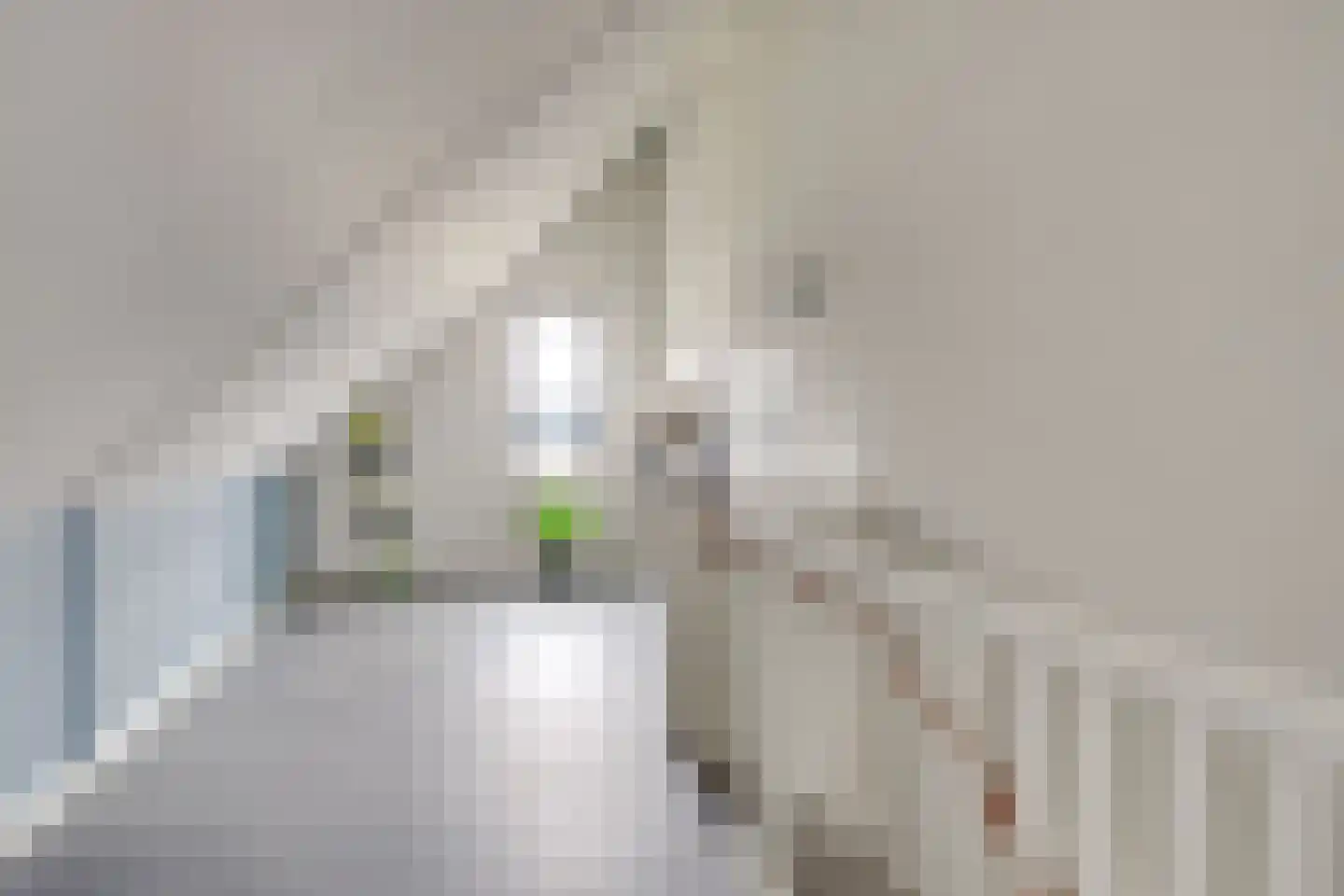 Oeverlibel 4 Son en Breugel thumbnail 22