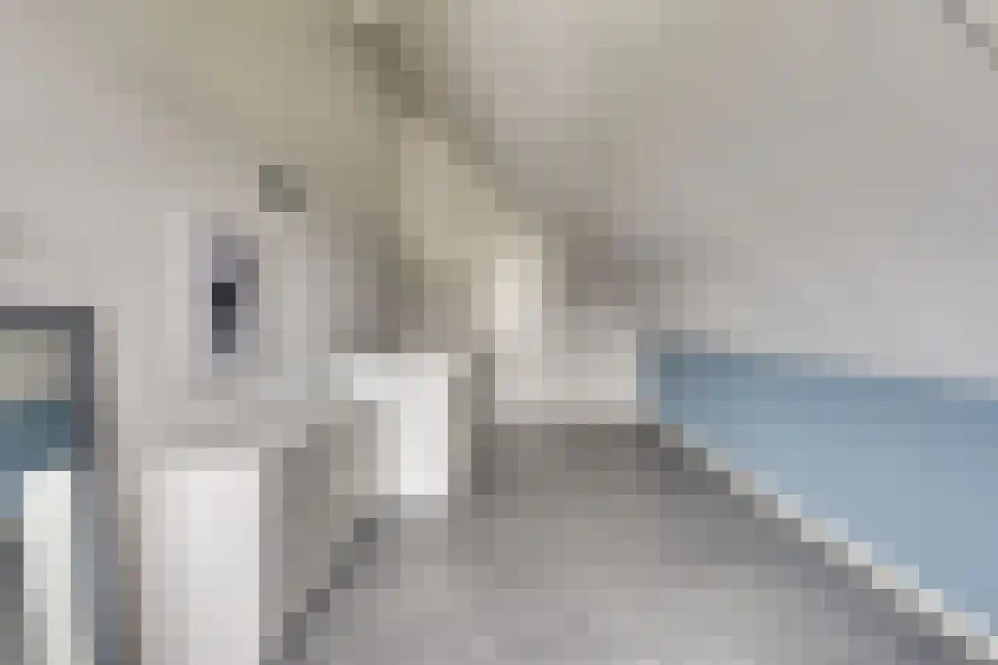 Oeverlibel 4 Son en Breugel thumbnail 23