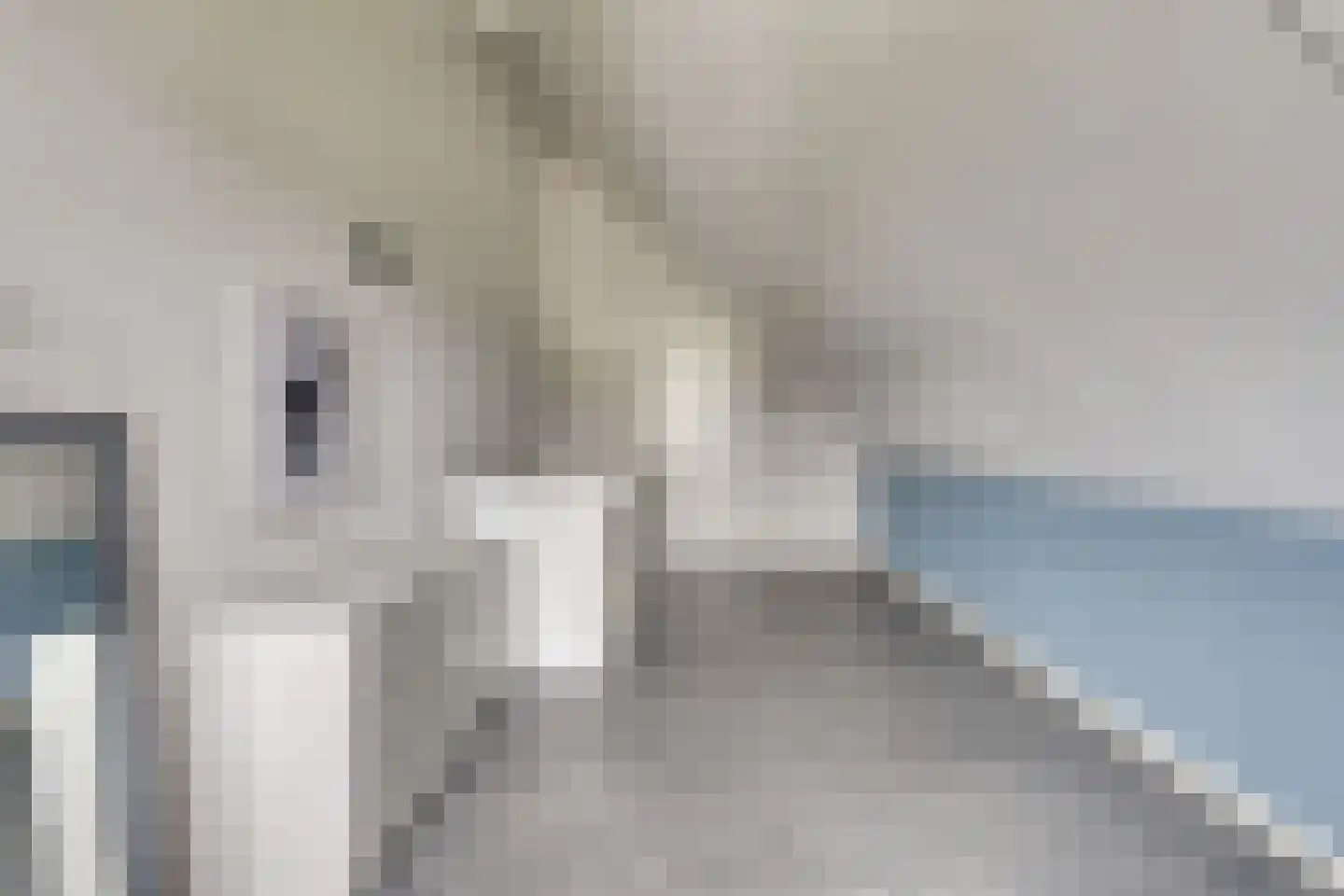 Oeverlibel 4 Son en Breugel thumbnail 24