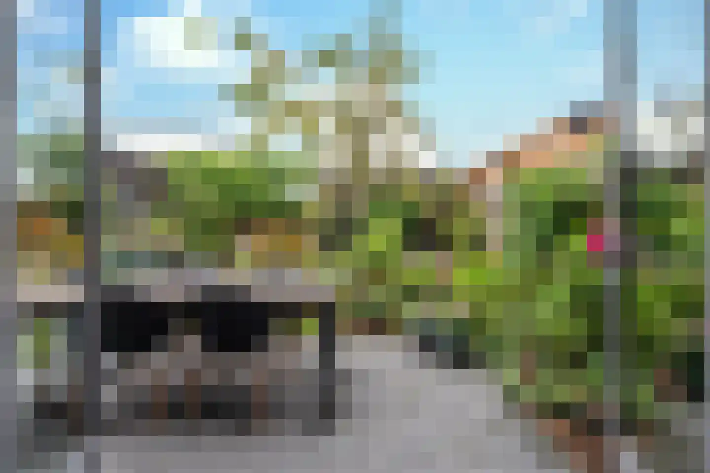 Oeverlibel 4 Son en Breugel thumbnail 26