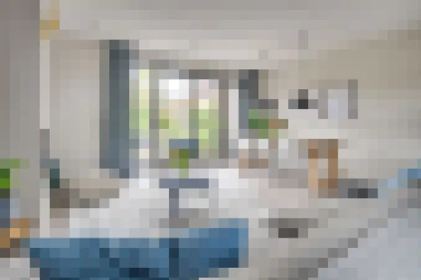 Oeverlibel 4 Son en Breugel thumbnail 6