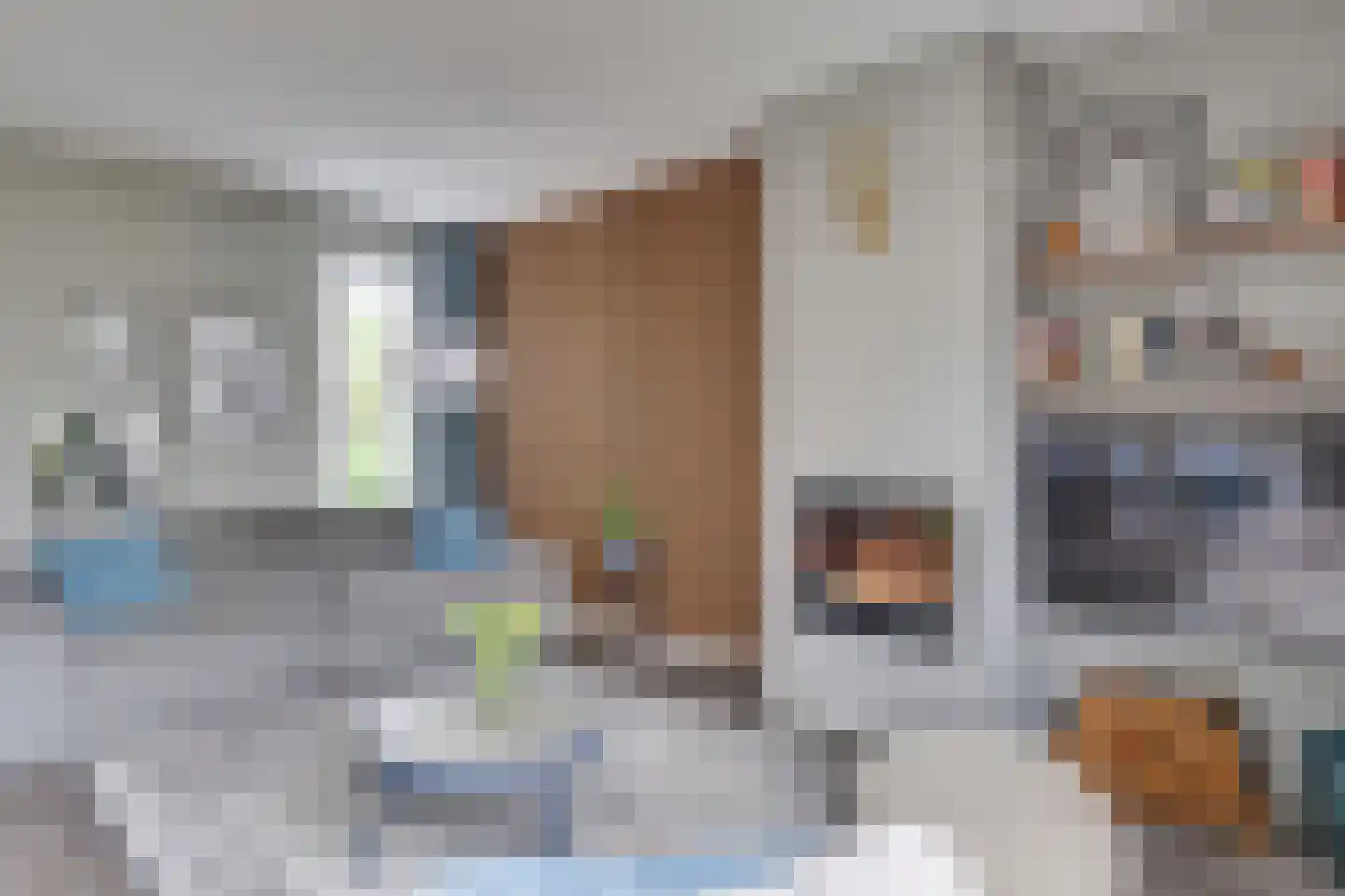 Oeverlibel 4 Son en Breugel thumbnail 8