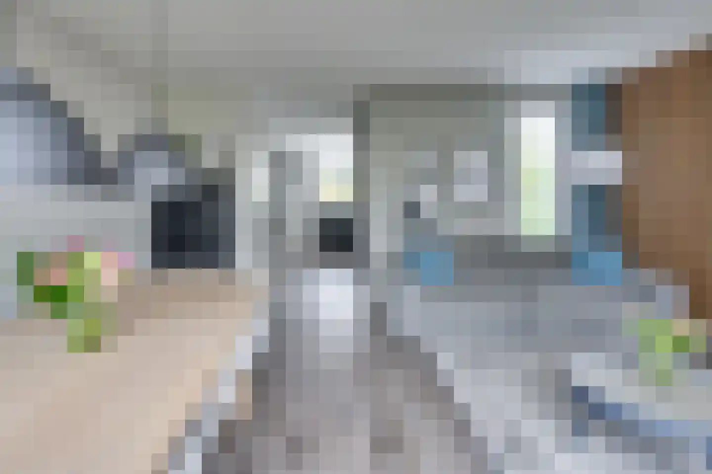 Oeverlibel 4 Son en Breugel thumbnail 9