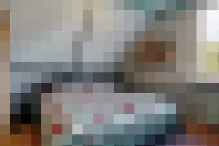 Oeverloper 1 Nieuwegein thumbnail 29