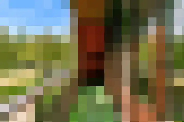 Oeverloper 1 Nieuwegein thumbnail 36